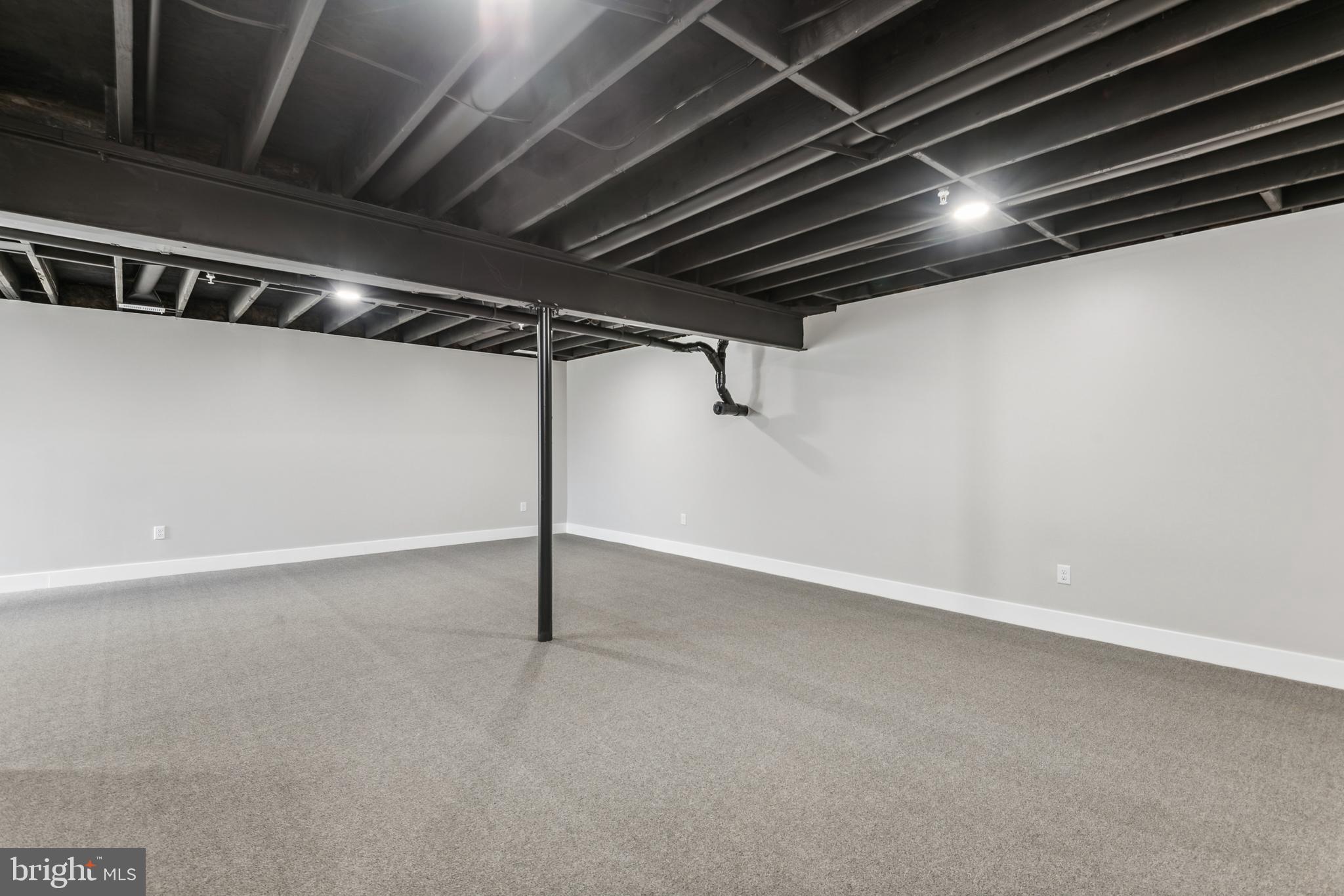 24766 Tribbett Circle Ridgely, MD 21660 - Photo 23 of 31 Fully Finished Basement