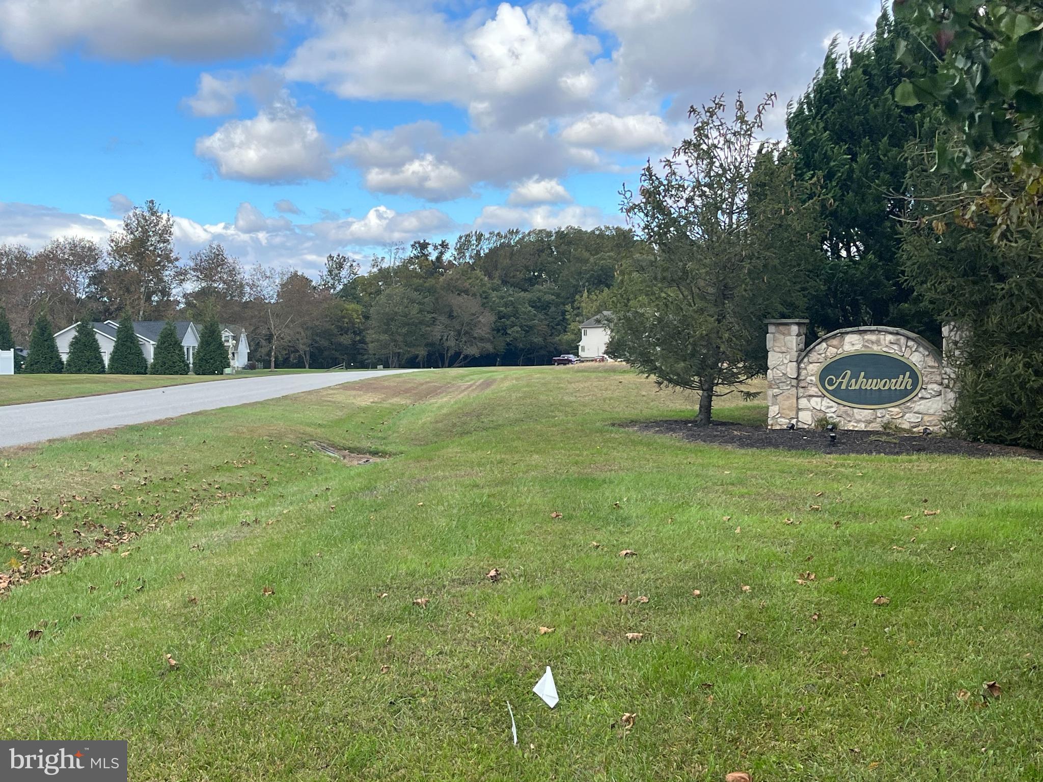 24766 Tribbett Circle Ridgely, MD 21660 - Photo 26 of 31 Generous lots