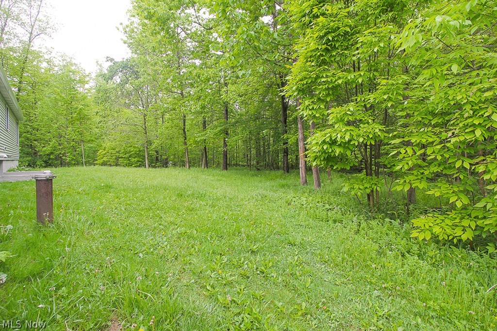 16342 Huntley Road Huntsburg, OH 44046 - Photo 25 of 28