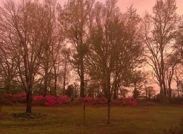 a living room with furniture a fireplace and a table