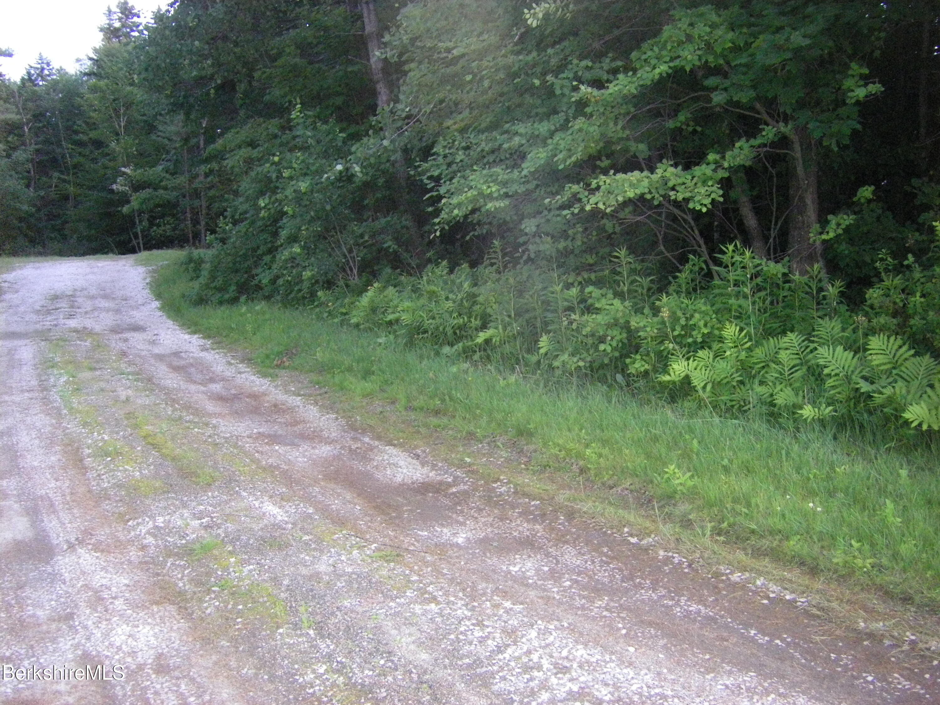 70 Mohawk Trail Florida, MA 01247 - Photo 11 of 15 Driveway In