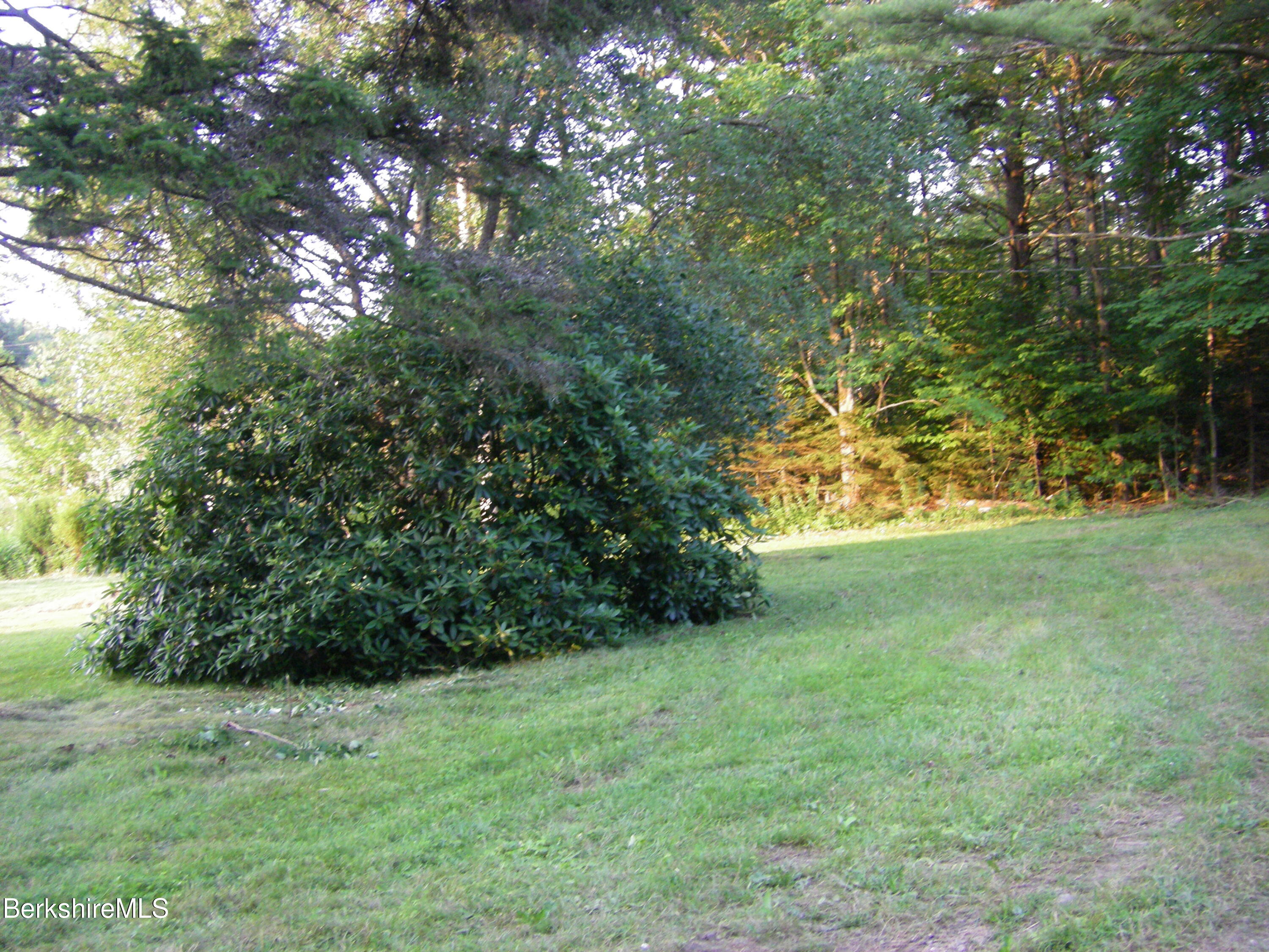 70 Mohawk Trail Florida, MA 01247 - Photo 12 of 15 Greenery
