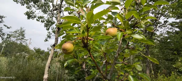 $229,900 | 70 Mohawk Trail, Florida, MA 01247