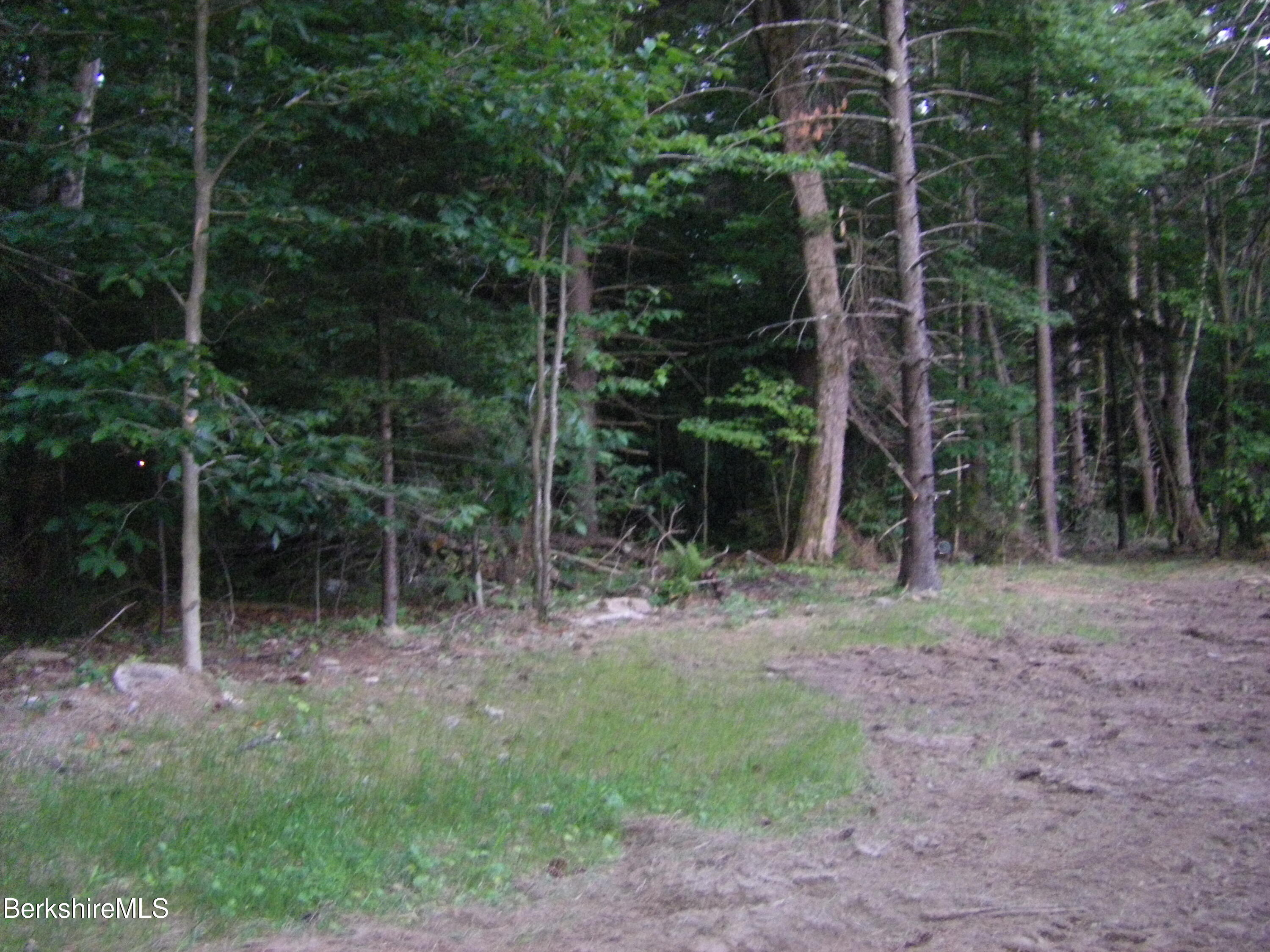 70 Mohawk Trail Florida, MA 01247 - Photo 7 of 15 Land