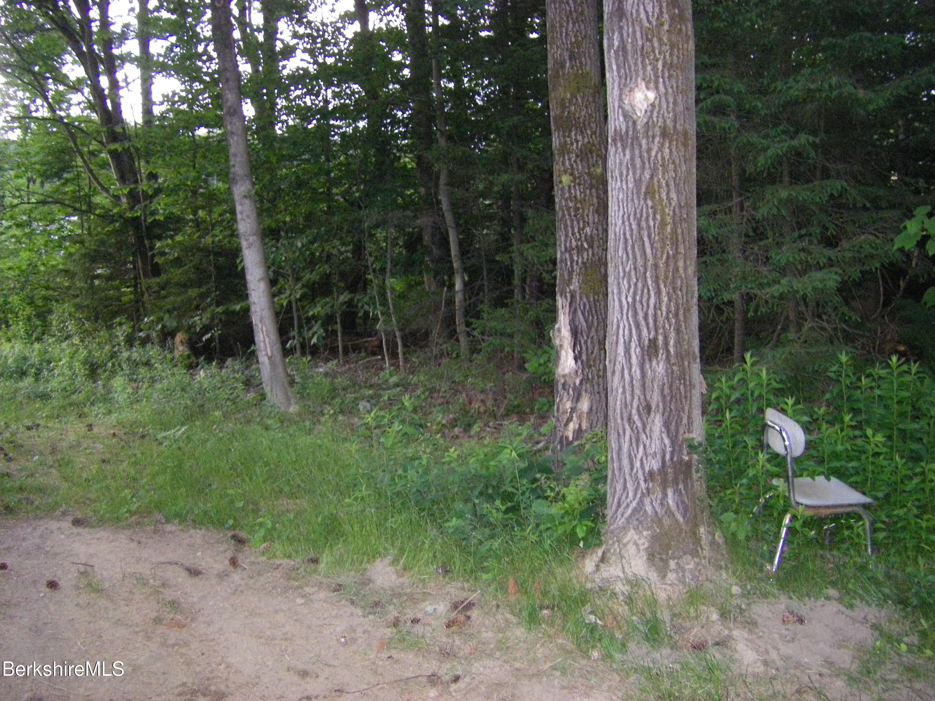 70 Mohawk Trail Florida, MA 01247 - Photo 8 of 15 Land View