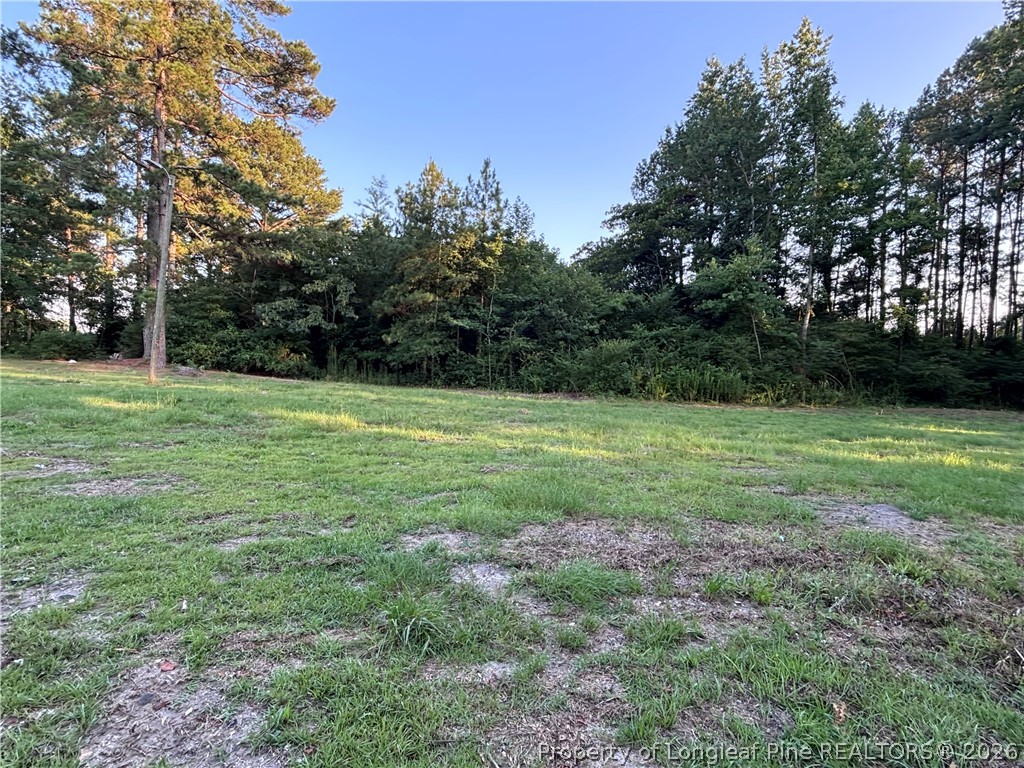 595 Shaw Road St. Pauls, NC 28384 - Photo 14 of 29