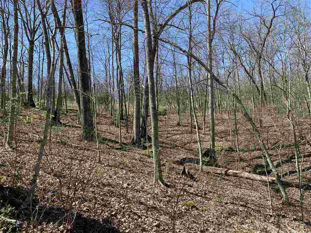 0 Mattox Road Brooksville, KY 41004 - Photo 13 of 22 Gallery Image 13
