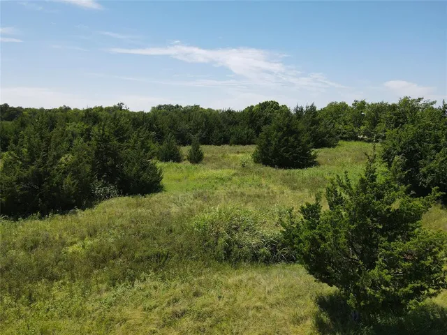 a view of a lush green forest with lots of trees