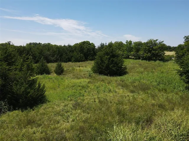 a view of a lush green space and lake view