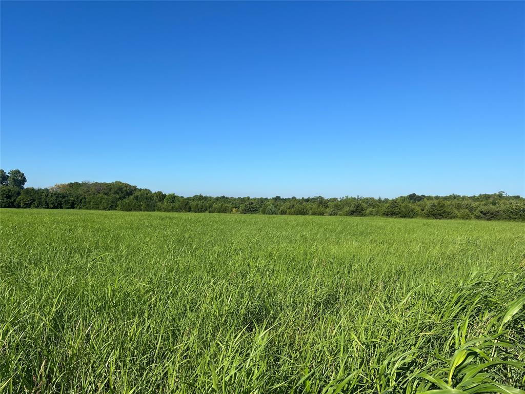 4145 County Road 4145 Bonham, TX 75418 - Photo 9 of 10 a view of lake and mountain view