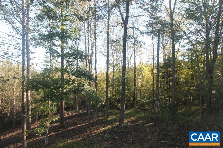 Tbd Batesville Road Afton, VA 22920 - Photo 16 of 16