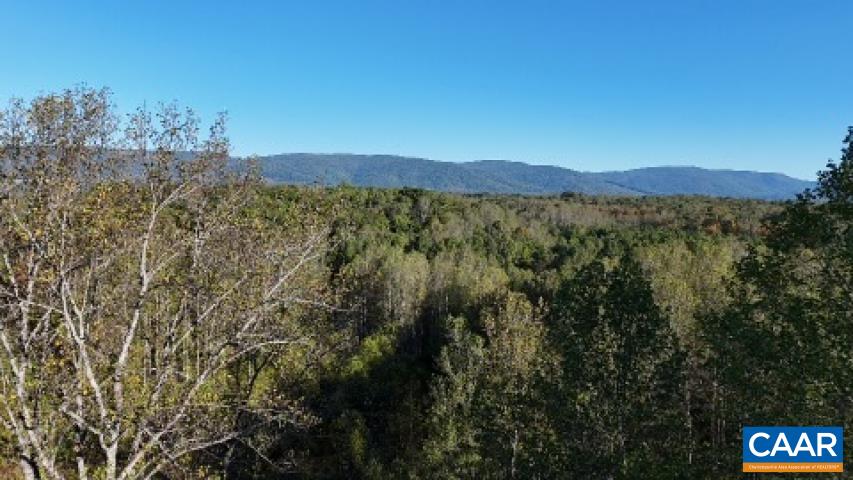Tbd Batesville Road Afton, VA 22920 - Photo 3 of 16 a view of a forest with a mountain in the background