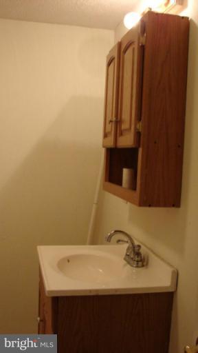 91 Ball Run Road Great Cacapon, WV 25422 - Photo 20 of 26 a bathroom with a sink and a mirror