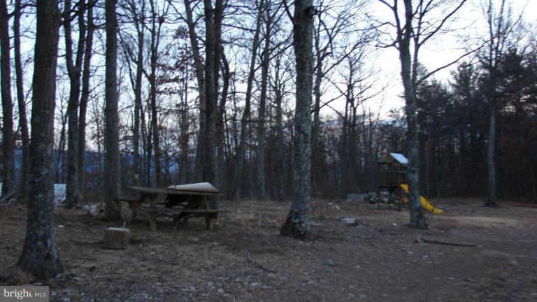 91 Ball Run Road Great Cacapon, WV 25422 - Photo 5 of 26 a view of a park with large trees