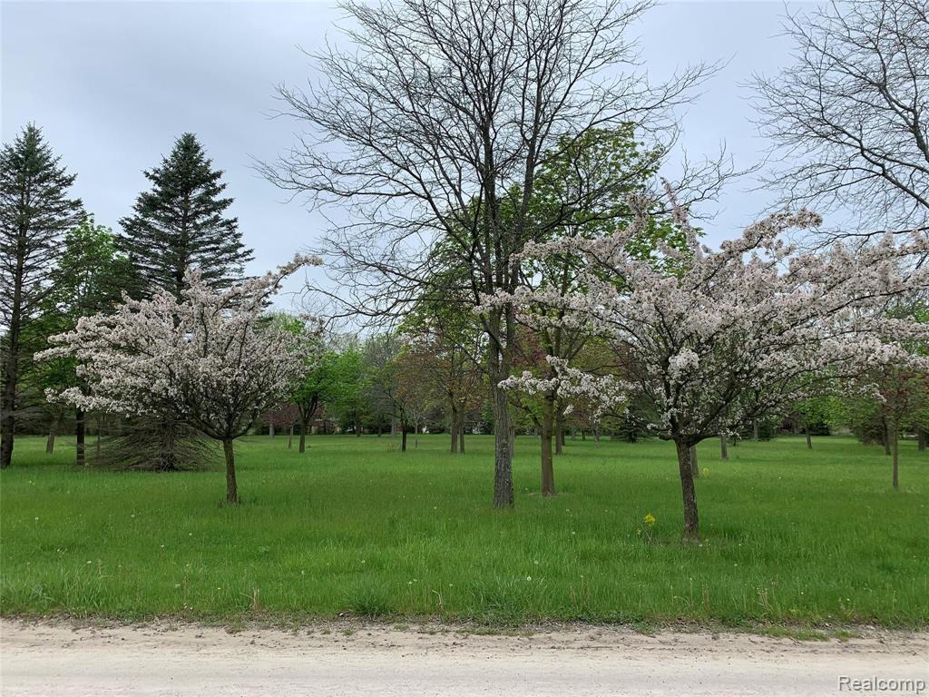 1 East Pond Drive Romeo, MI 48065 - Photo 1 of 1
