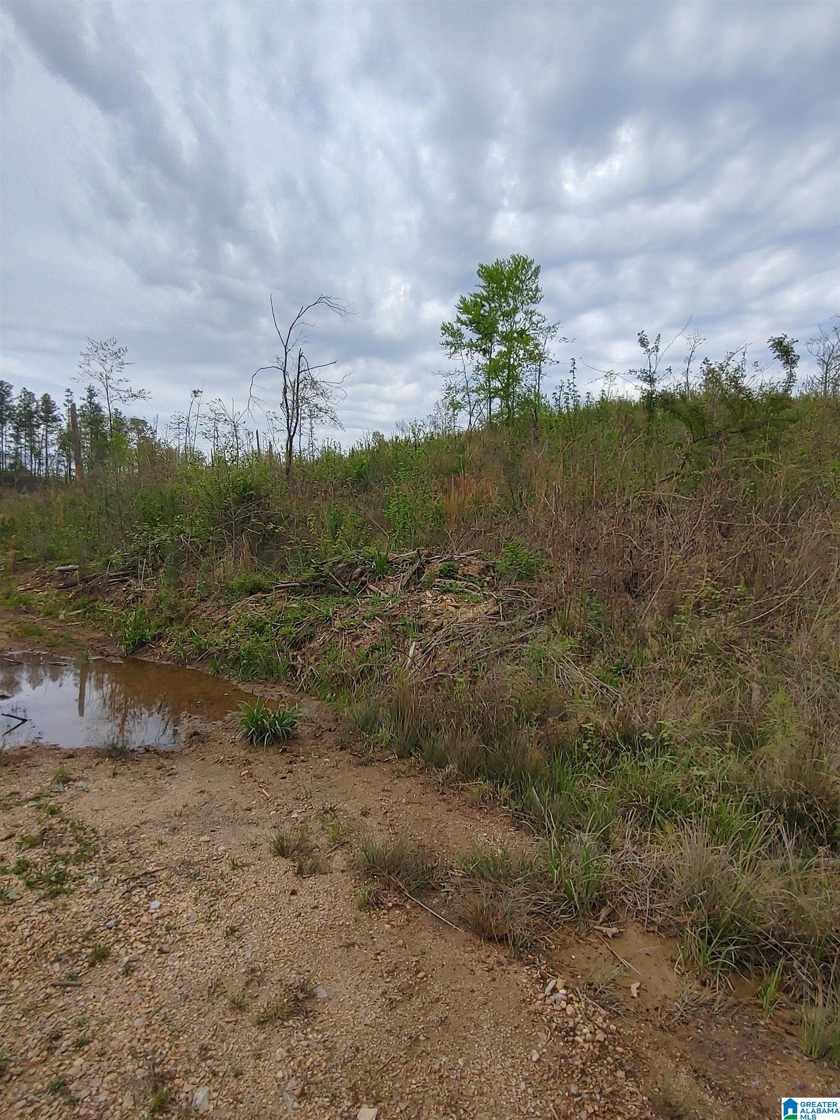 0 County Road 199, Unit 17 Clanton, AL 35045 - Photo 2 of 5