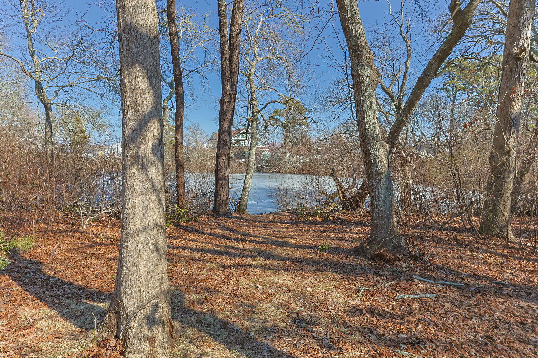 105 Annable Point Road Centerville, MA 02632 - Photo 24 of 27 a view of a yard in the forest