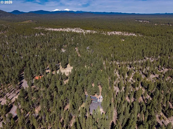 a view of a city with lush green forest