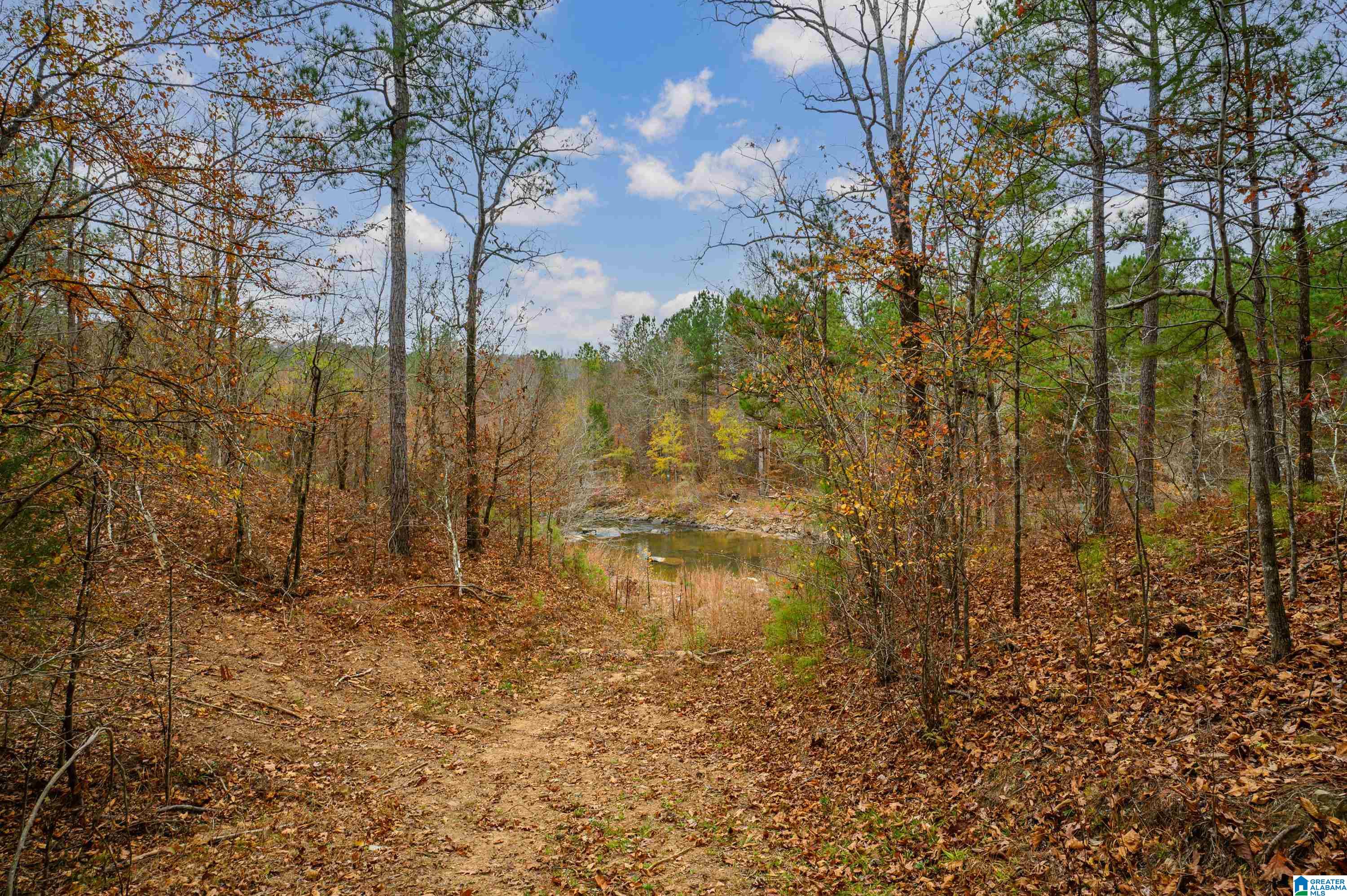 8799 Shades Fall Way, Unit 2 Bessemer, AL 35022 - Photo 30 of 45