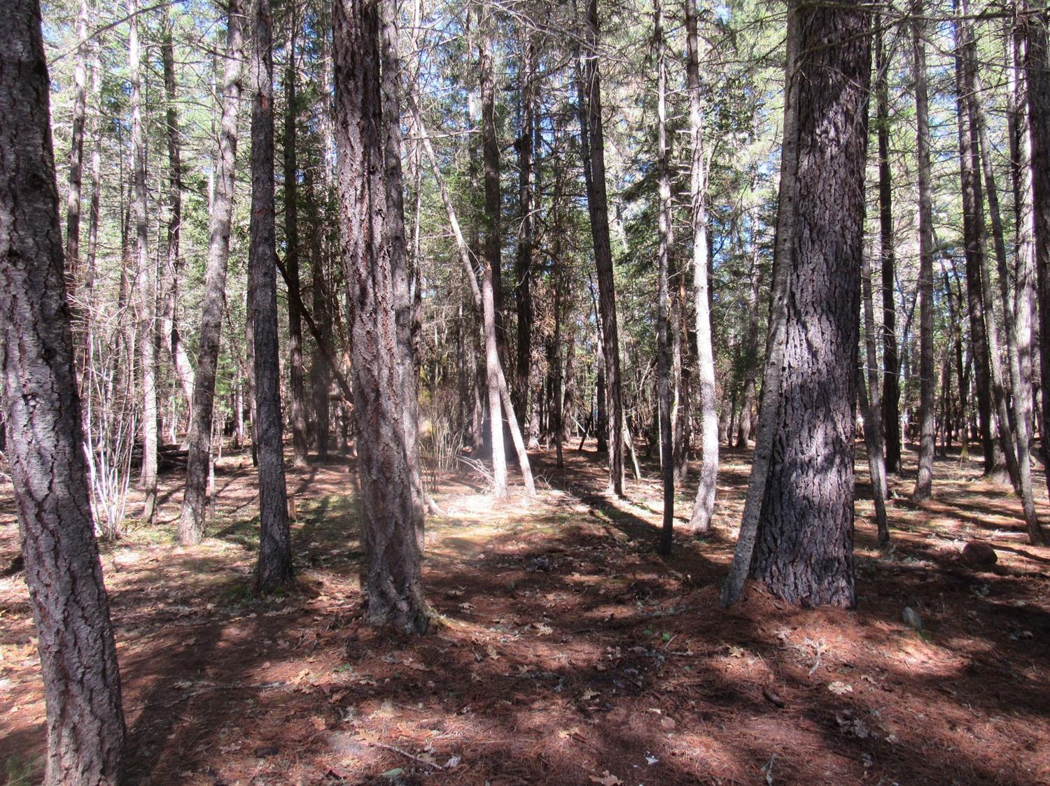 15520 Water Gap Road Williams, OR 97544 - Photo 34 of 35 Additional Photo