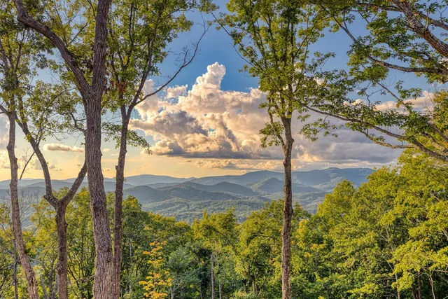 a kitchen with stainless steel appliances granite countertop a sink and wooden cabinets