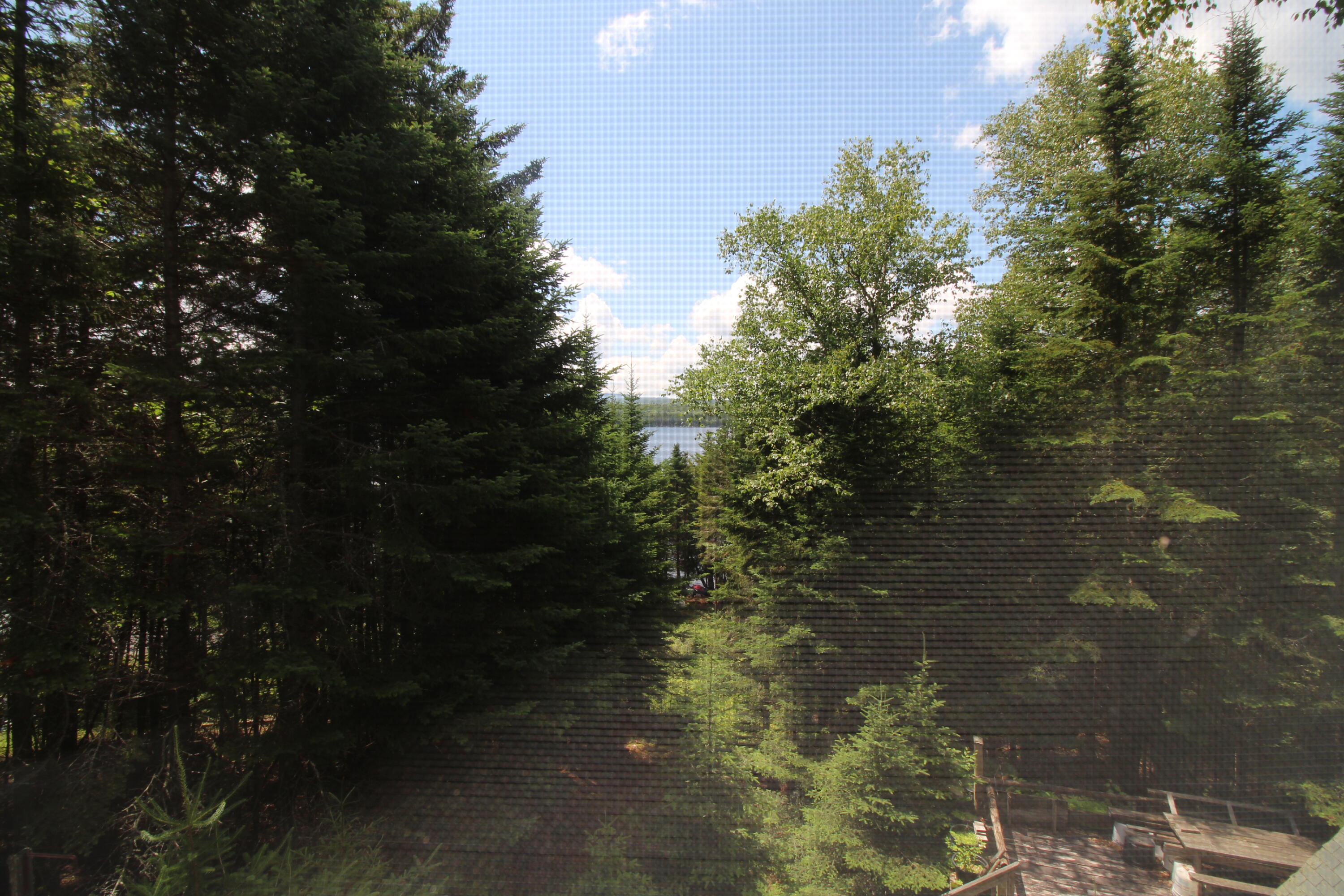 358 Birches Beach Road Oquossoc, ME 04964 - Photo 32 of 37 IMG_3776