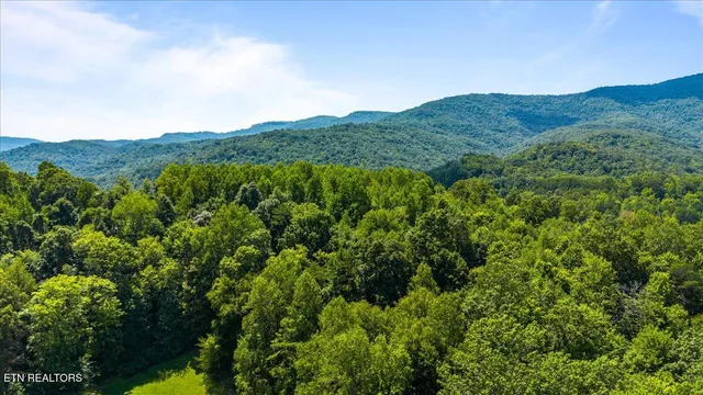 $489,500 | 264-268 Little Cove Creek Road, Caryville, TN 37714
