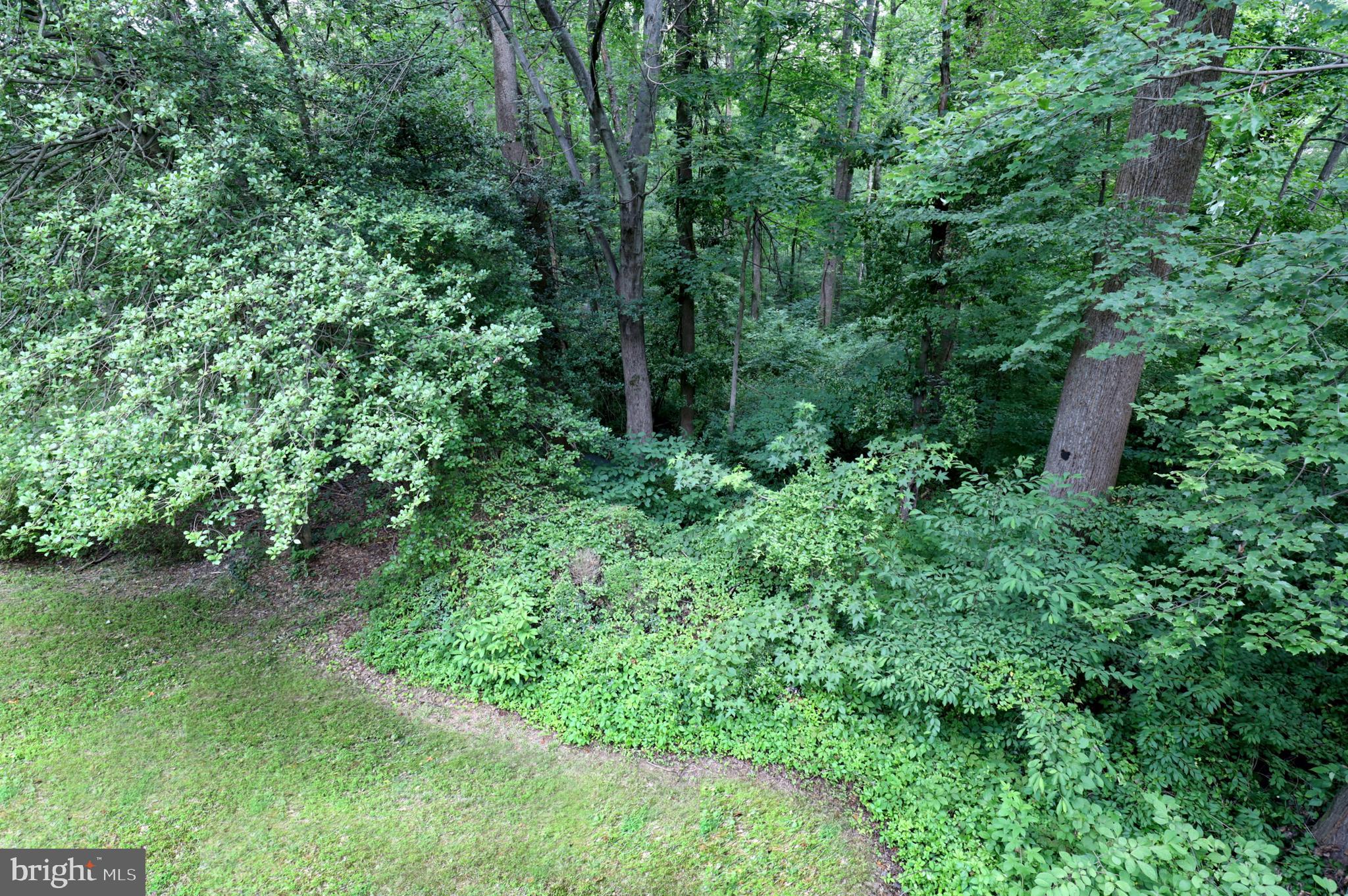 9925 Natick Road Burke, VA 22015 - Photo 56 of 66 Gallery Image 56