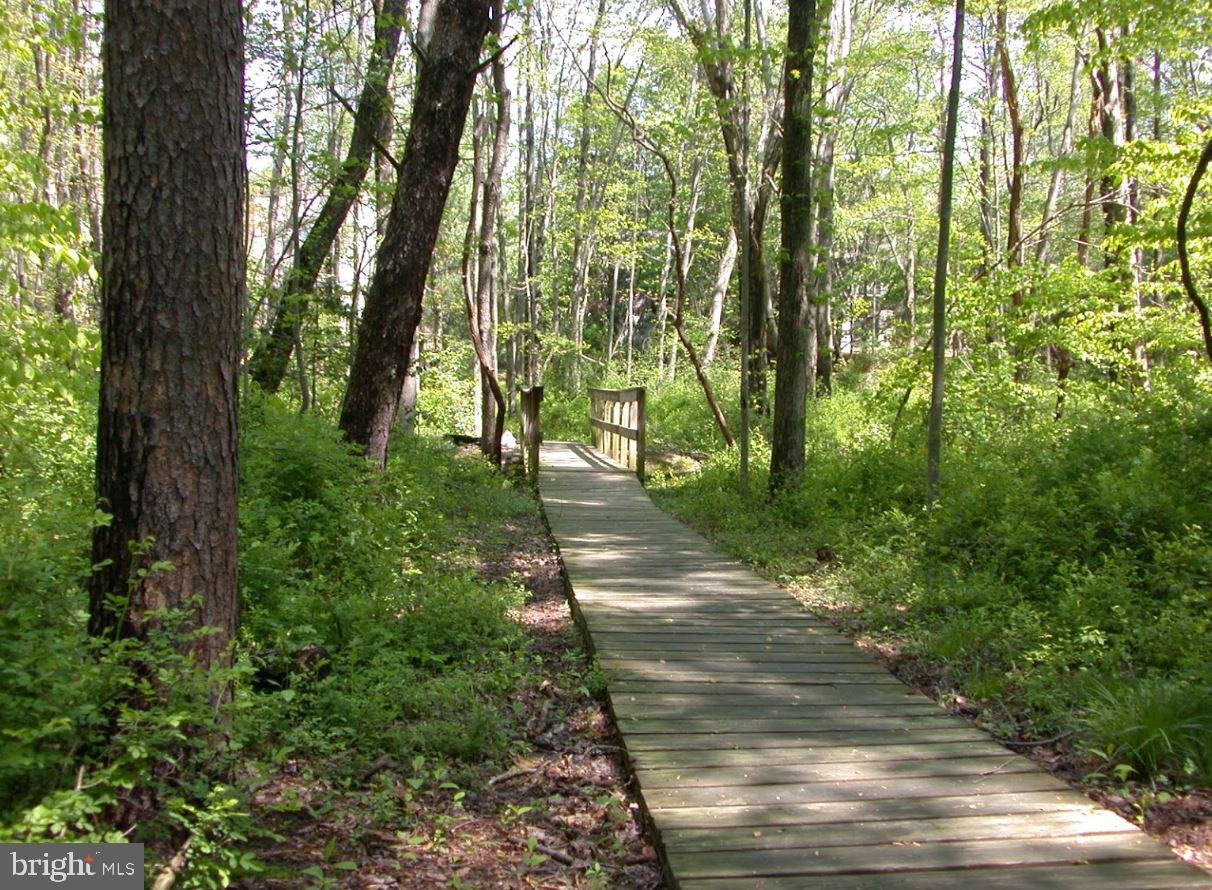 9925 Natick Road Burke, VA 22015 - Photo 61 of 66 50 miles of walking trails throughout Burke Centre