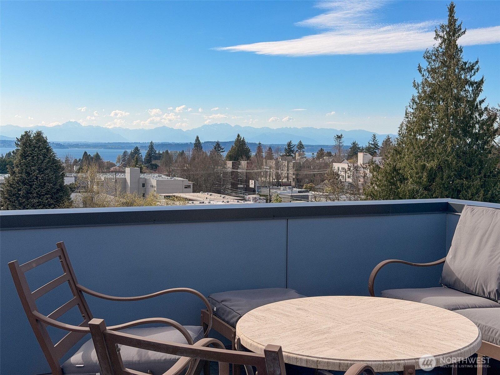 6320 41st Avenue Southwest, Unit A Seattle, WA 98136 - Photo 29 of 39
