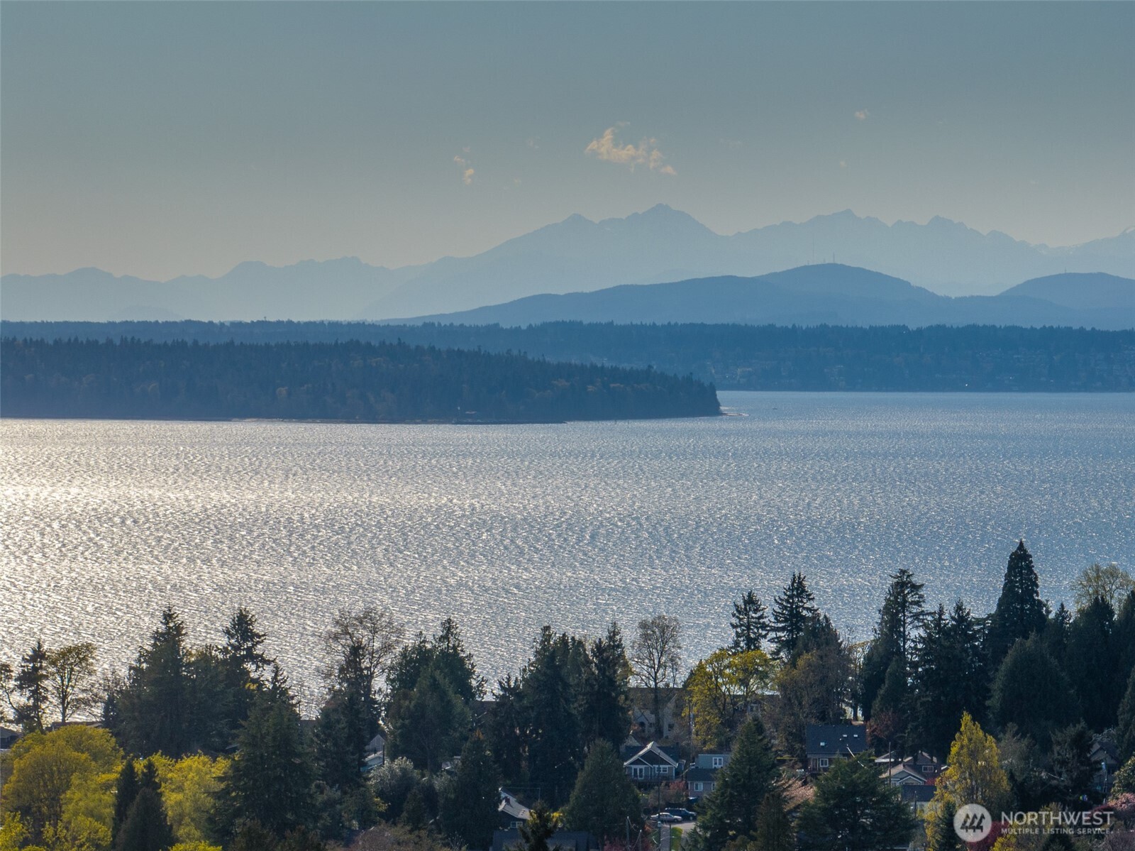 6320 41st Avenue Southwest, Unit A Seattle, WA 98136 - Photo 35 of 39