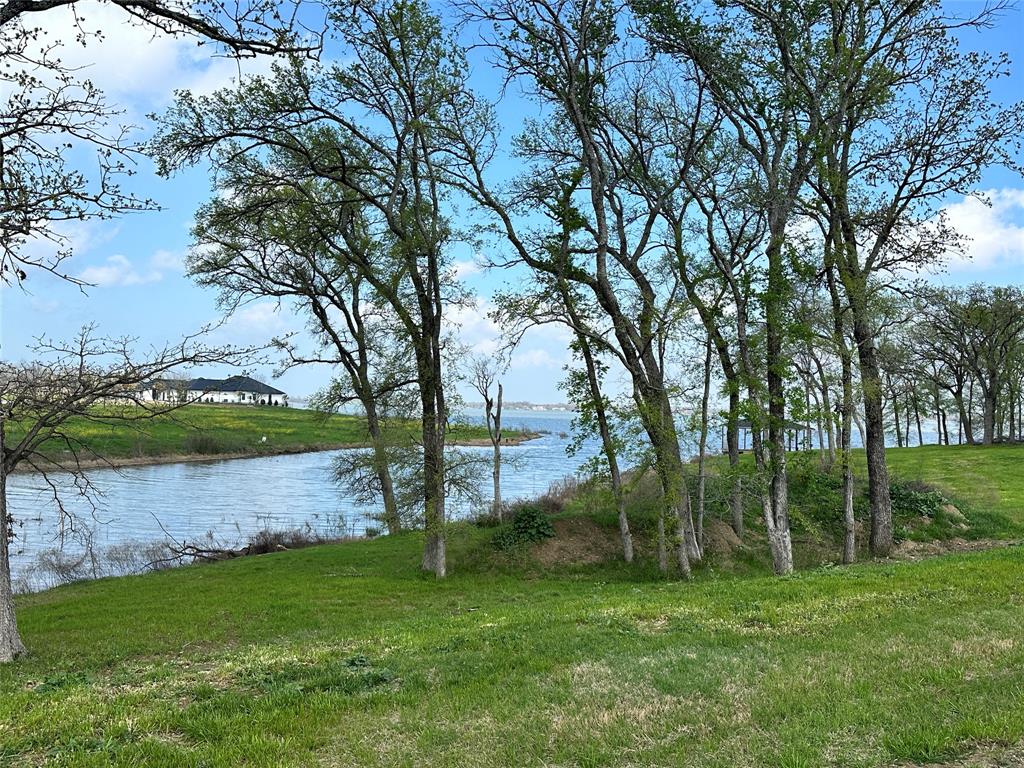 117 Diamond Point Drive Corsicana, TX 75109 - Photo 22 of 35 a view of outdoor space with green field