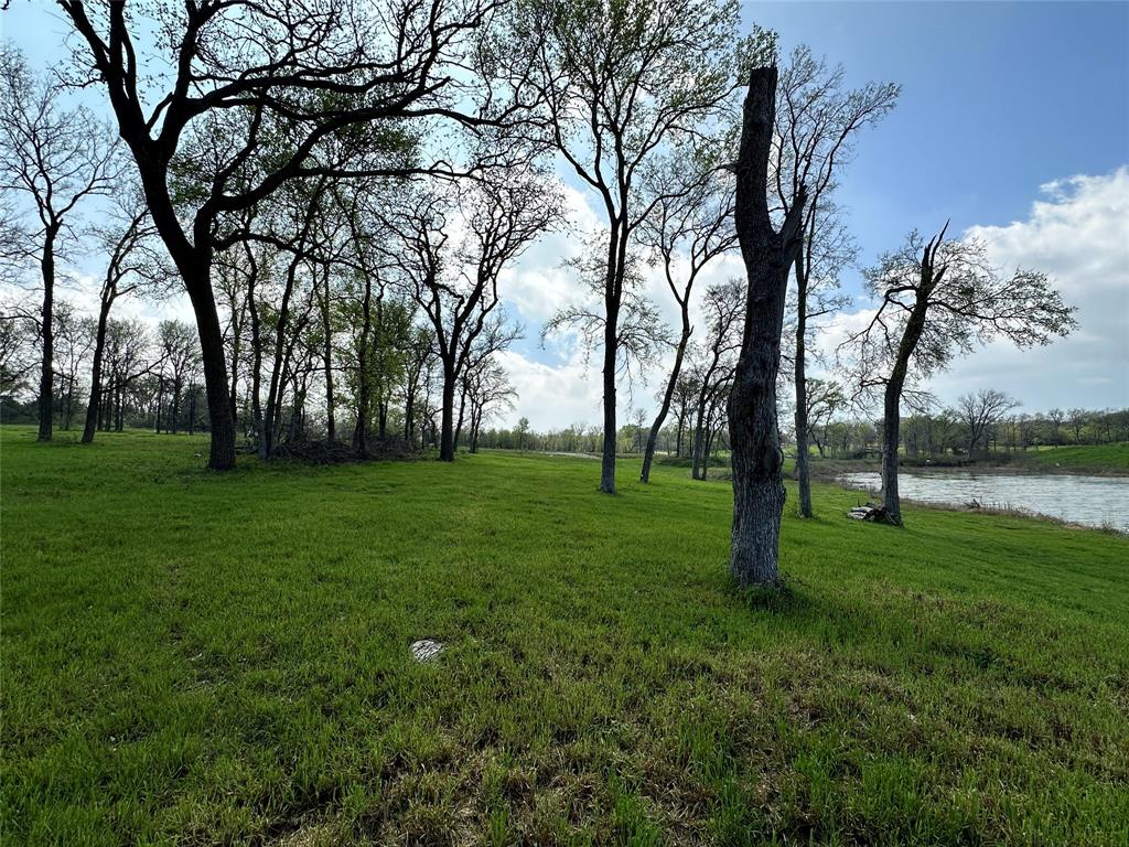 117 Diamond Point Drive Corsicana, TX 75109 - Photo 26 of 35 a view of field with trees