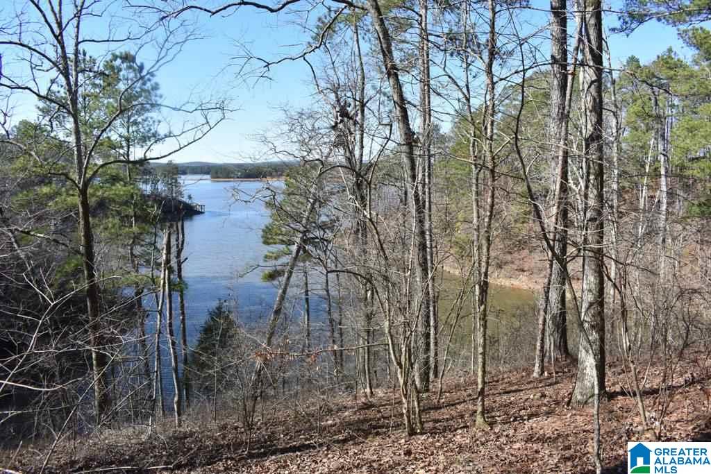 Lot 150 County Road 804, Unit 150 Wedowee, AL 36278 - Photo 5 of 8