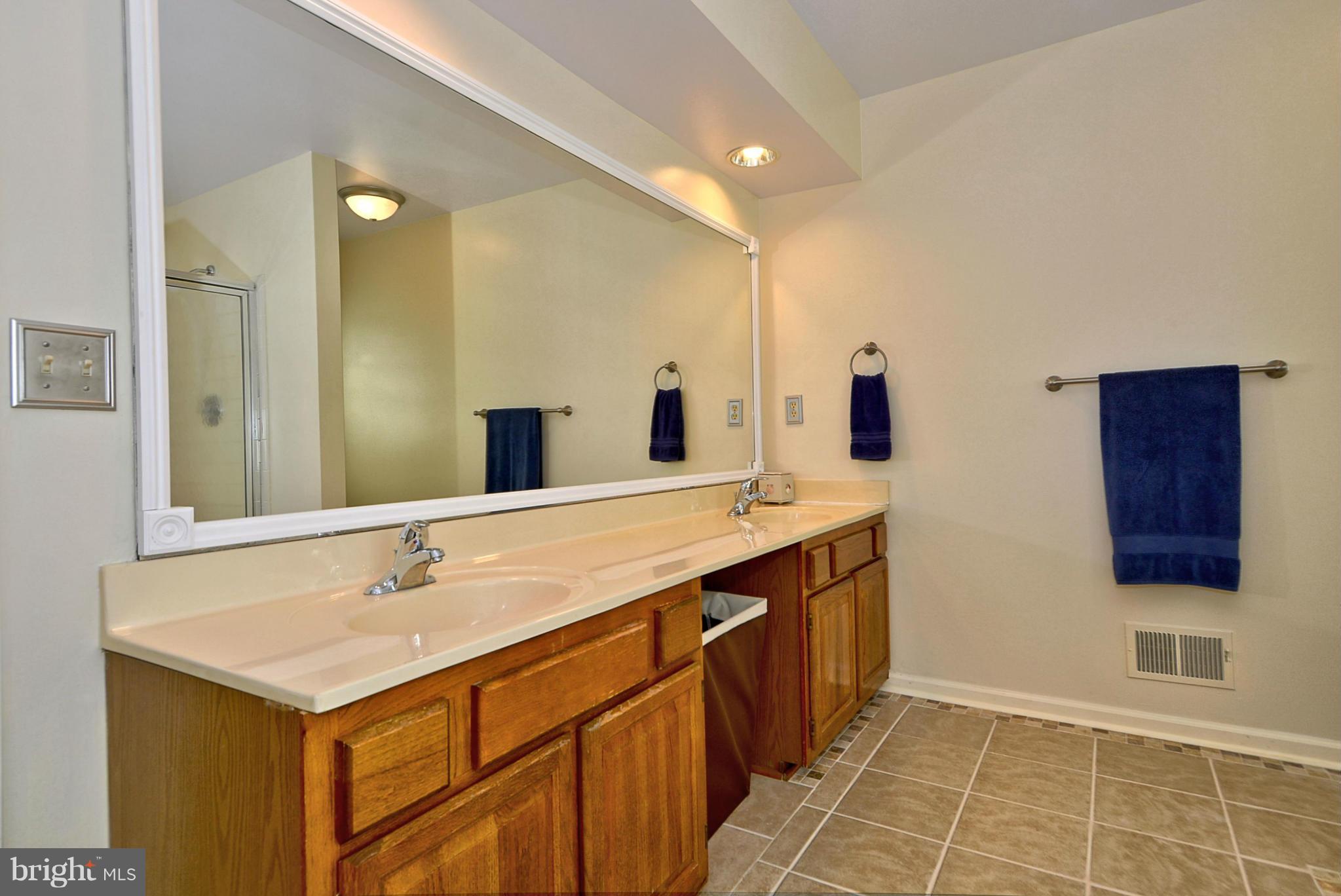 8012 Rocky Run Road Gainesville, VA 20155 - Photo 20 of 30 Master Bath