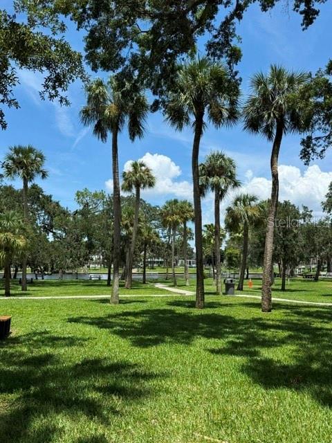 217 South Spring Boulevard Tarpon Springs, FL 34689 - Photo 18 of 21 Gallery Image 18