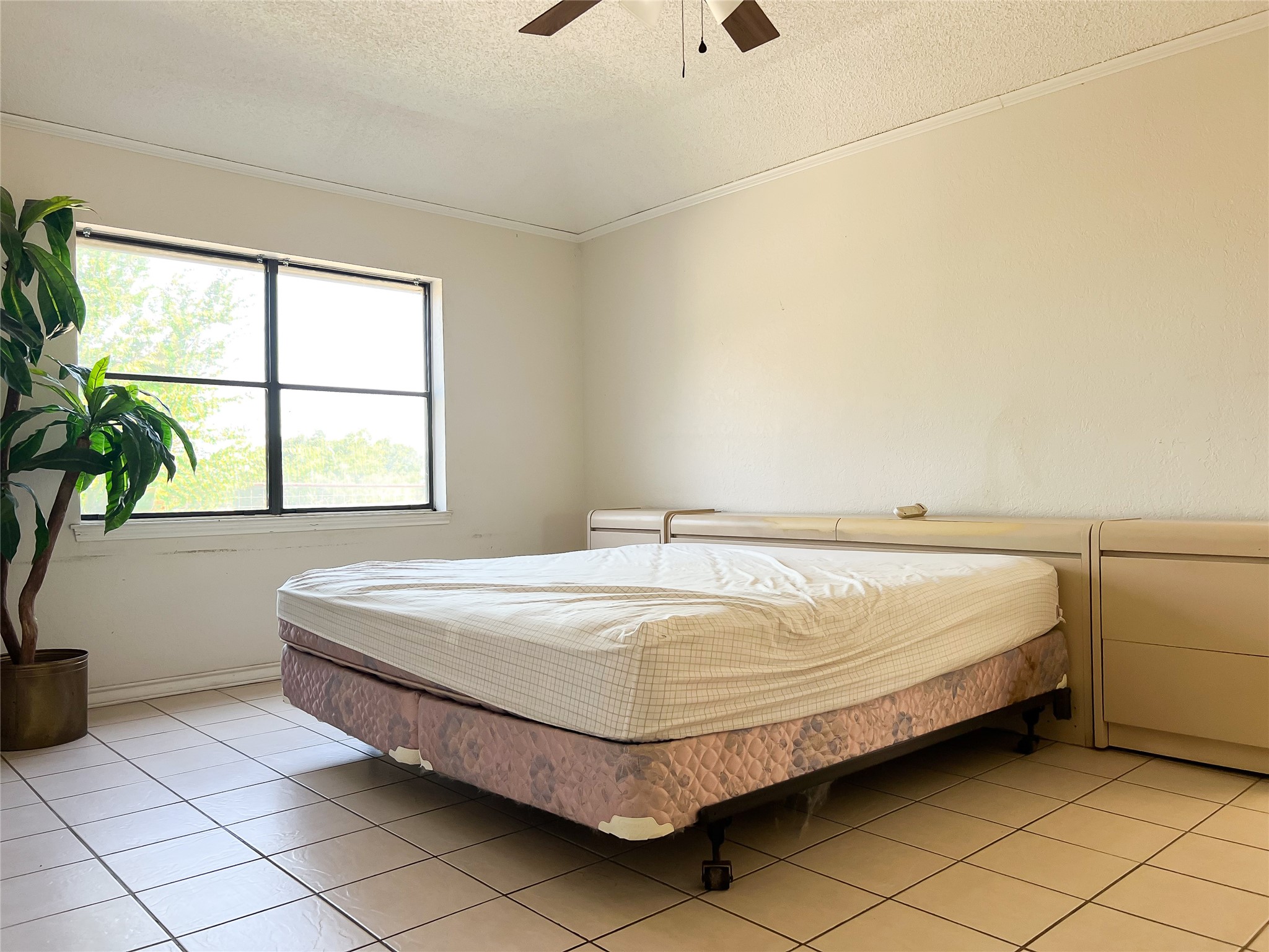 496 Fm-1512 Jewett, TX 75846 - Photo 21 of 25