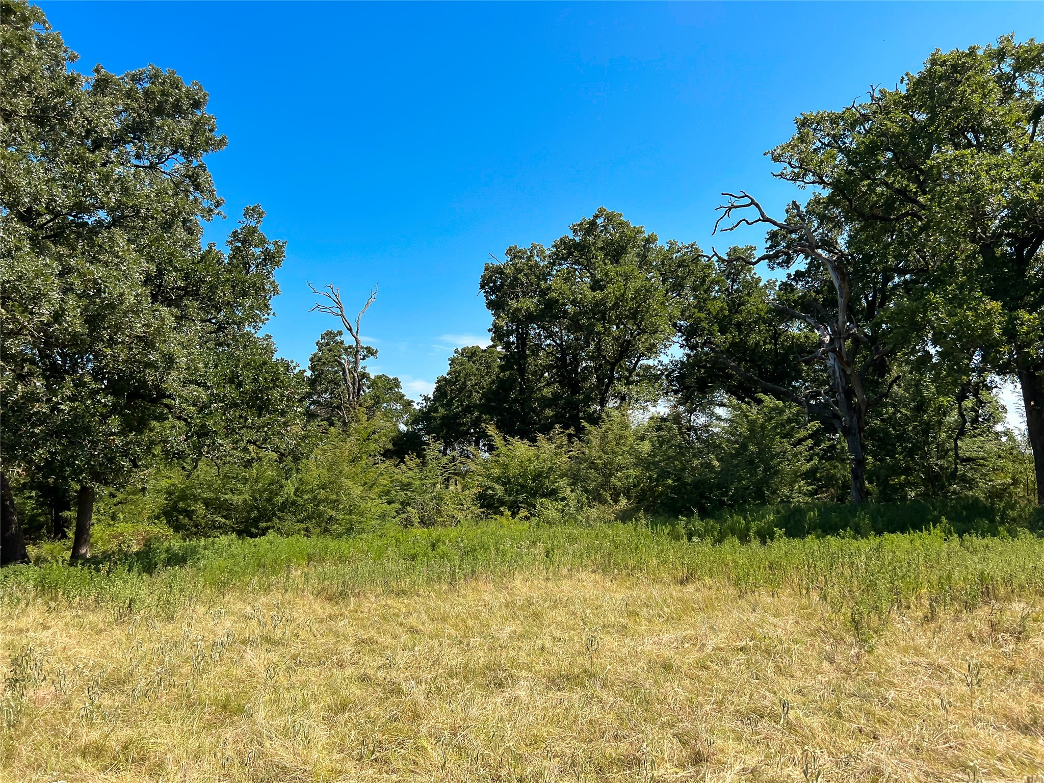 496 Fm-1512 Jewett, TX 75846 - Photo 24 of 25