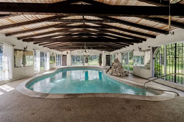 a view of a basket ball with an umbrella