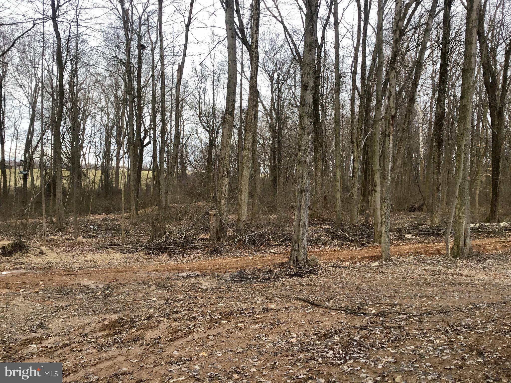 4251 Church Road Parkesburg, PA 19365 - Photo 60 of 65