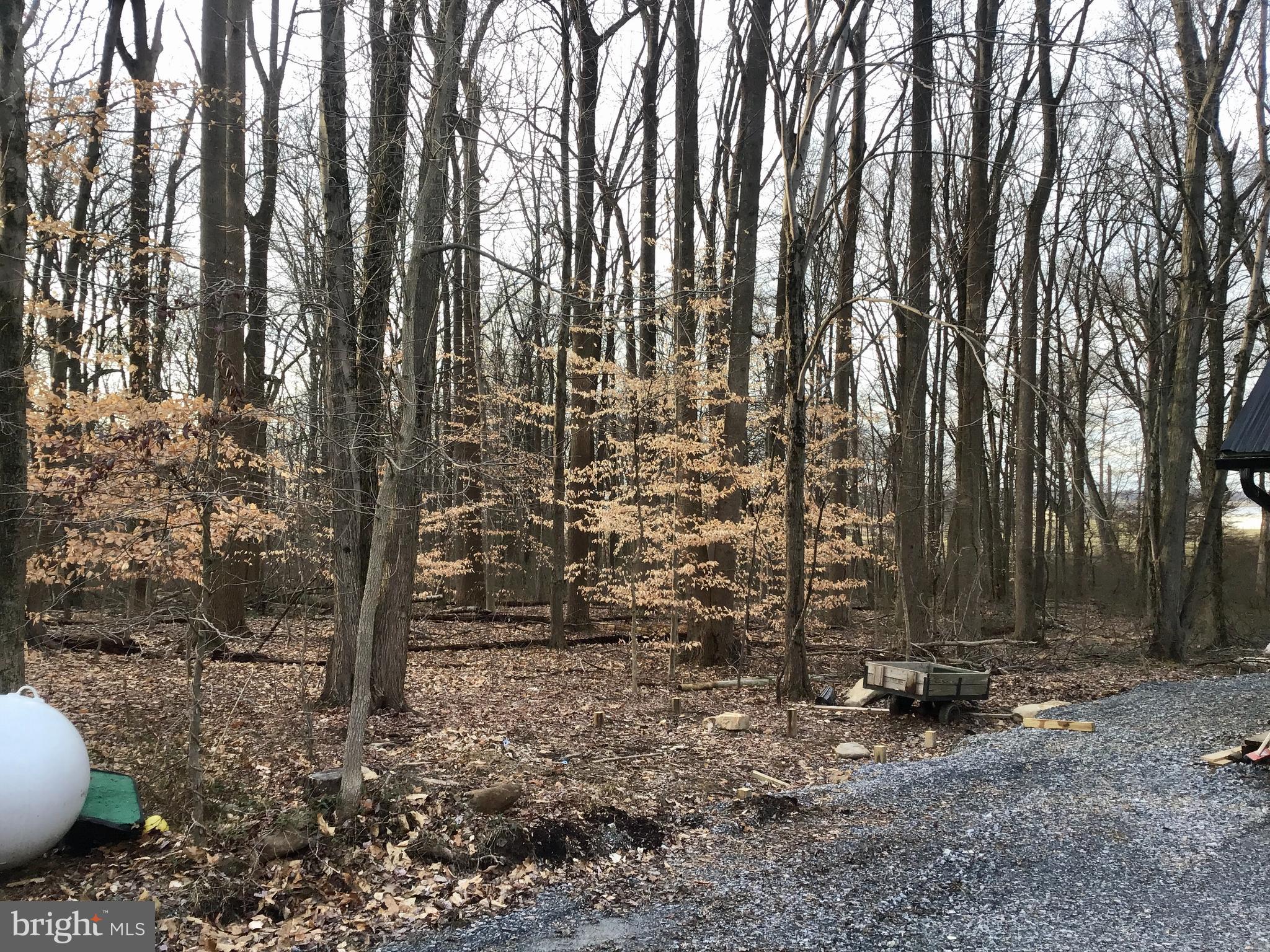 4251 Church Road Parkesburg, PA 19365 - Photo 65 of 65