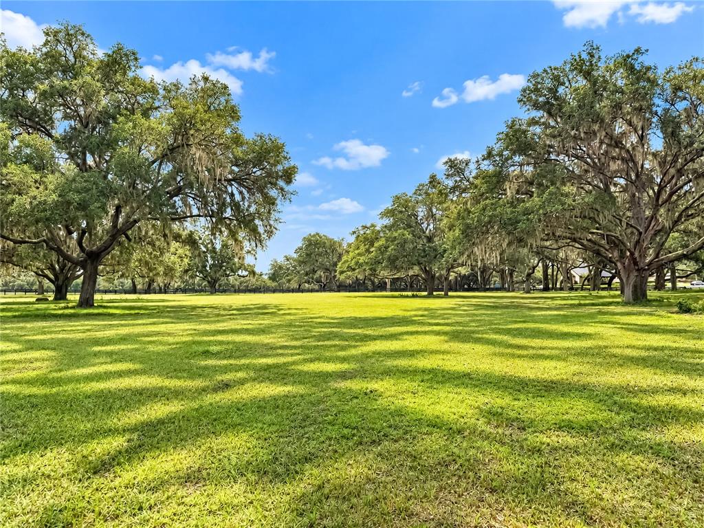 104 Southwest 104th Street Road Ocala, FL 34476 - Photo 19 of 19 Gallery Image 19