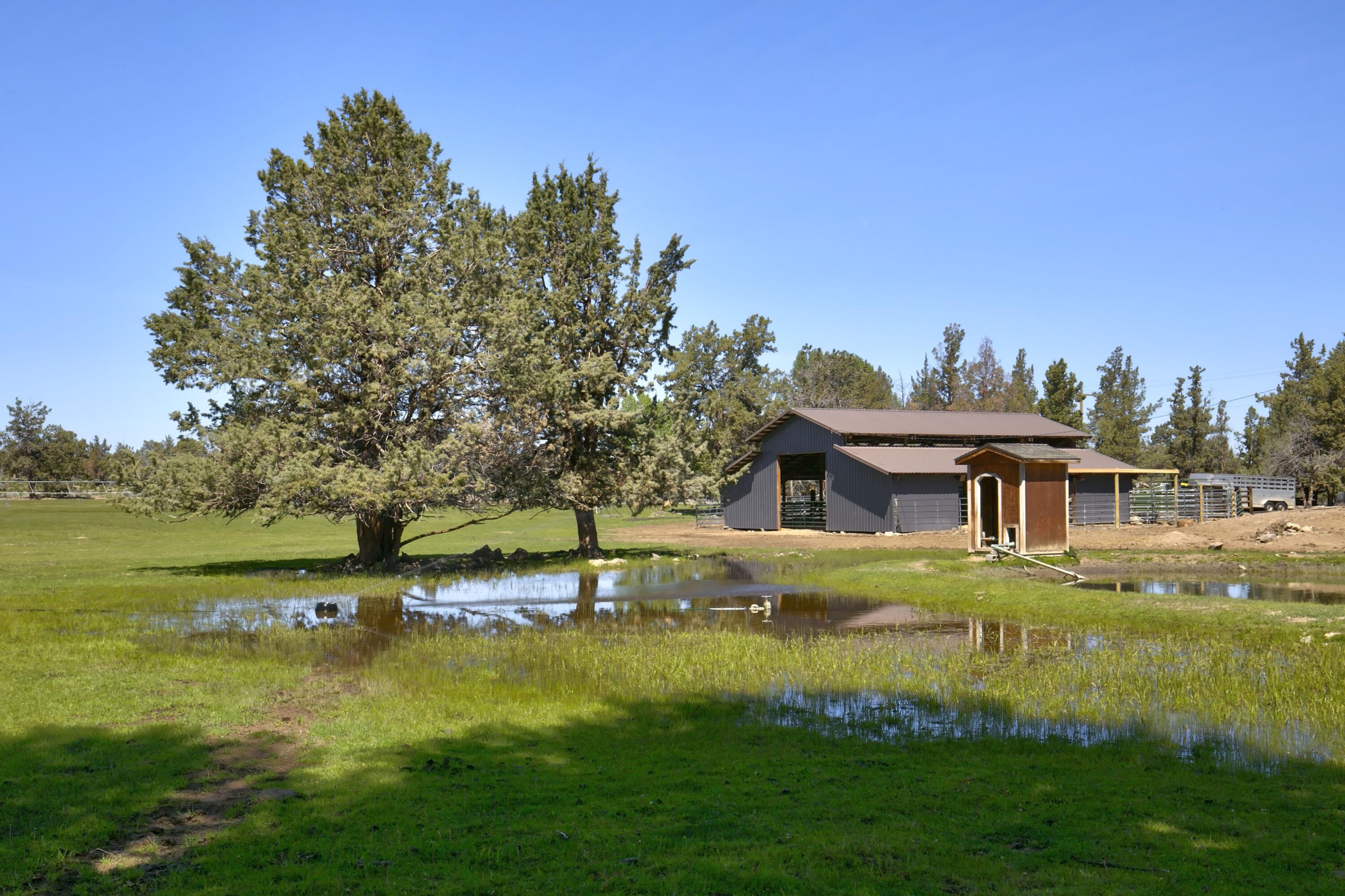 61212 Obernolte Road Bend, OR 97701 - Photo 37 of 49 33 61212 Obernolte Rd_043