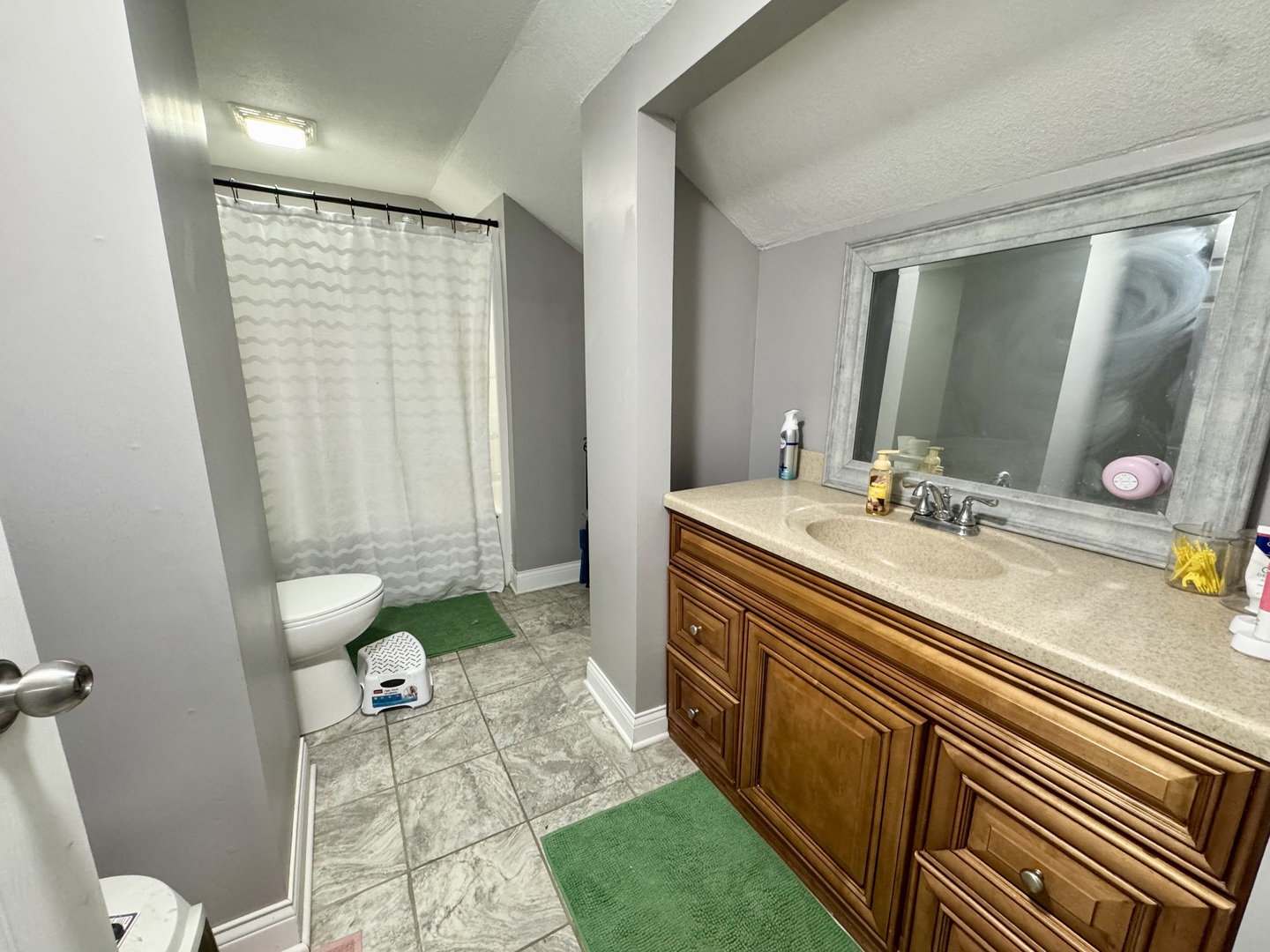 402 North Center Street Colfax, IL 61728 - Photo 25 of 25 a bathroom with a double vanity sink toilet and a mirror