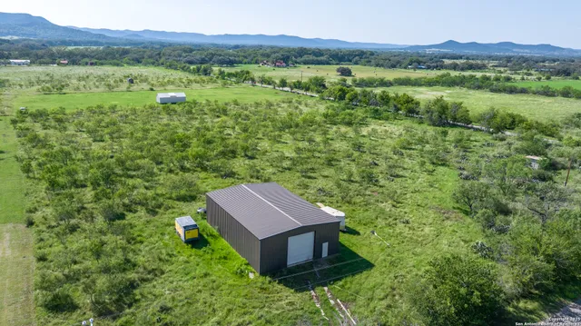 a view of a lush green forest with a house in the background