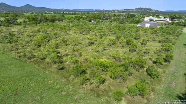 a view of a lush green forest with trees and houses