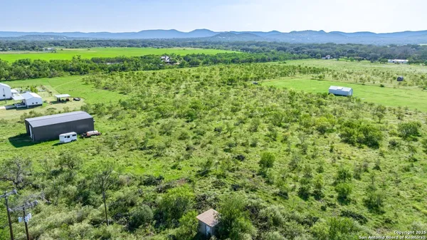 a view of a lush green field with lots of plants in it