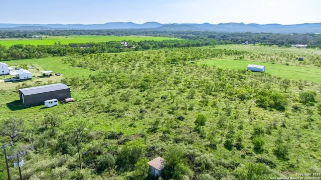 a view of a lush green field with lots of plants in it
