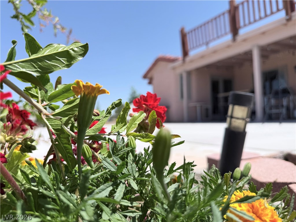 1220 East Gamebird Road Pahrump, NV 89048 - Photo 29 of 49 A flowering garden frames the spacious patio, ideal for outdoor gatherings.