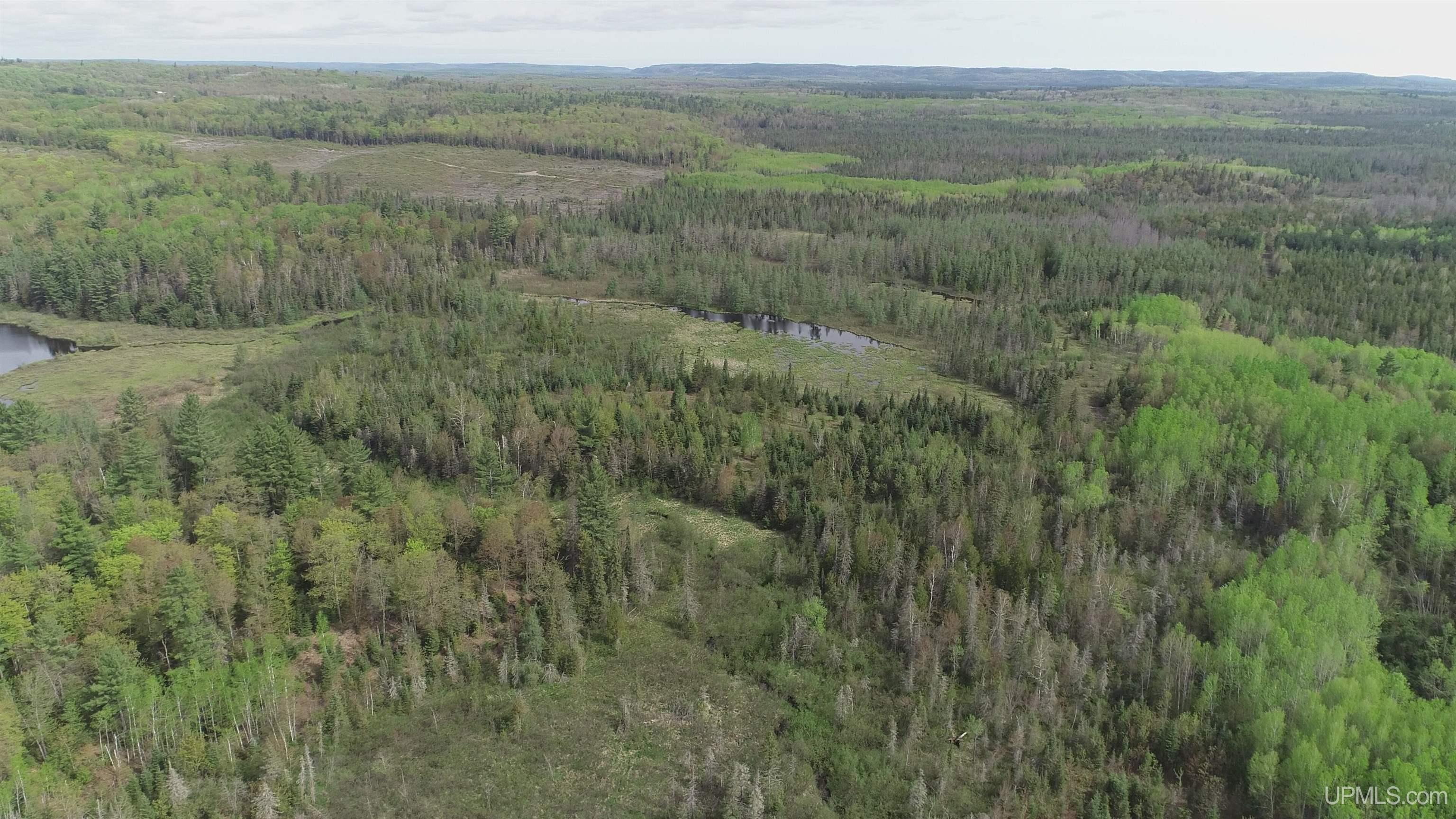 280-acres County Road CCN Road Negaunee, MI 49866 - Photo 18 of 48